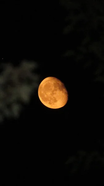 Tiro Vertical Lua Céu Noturno — Fotografia de Stock