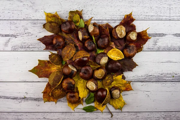 Крупный План Каштанов Осенними Листьями Белом Деревянном Фоне — стоковое фото