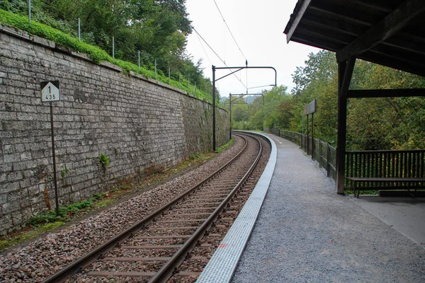 铁路车站附近的一条铁路 白天被绿色的自然所环绕 — 图库照片