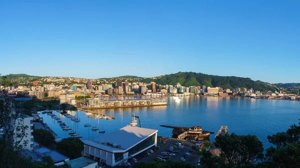 ニュージーランドのウェリントン 2020年2月25日 ビクトリア山から見える晴れた夏の朝に見られる都市の建物や港の標高の高い景色 ウェリントンはニュージーランドの首都 — ストック写真