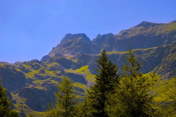 緑に覆われた山間部の美しい風景は — ストック写真