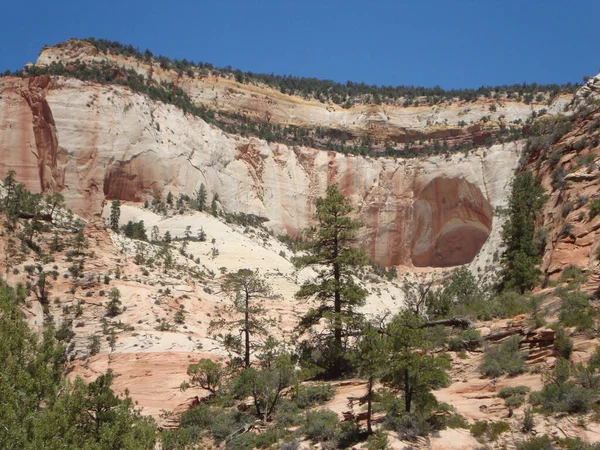 Springdale Yakınlarındaki Utah Güneybatısındaki Zion Ulusal Parkı Nın Büyüleyici Bir — Stok fotoğraf