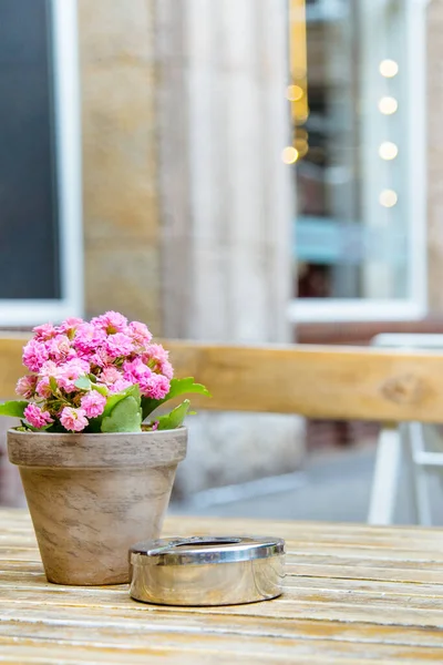 Närbild Liten Kruka Rosa Blommor Nära Askkopp Ett Kafé Bord — Stockfoto