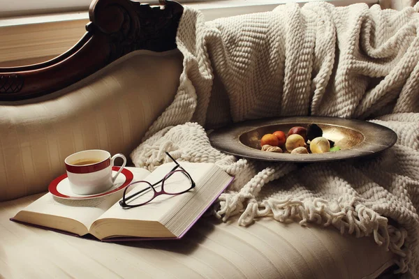 Cozy Corner Reading Having Rest Sofa Blanket — Stock Photo, Image