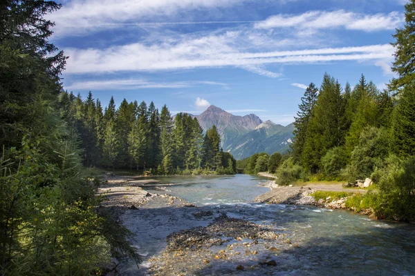 Río Poco Profundo Que Fluye Través Del Bosque Bajo Cielo — Foto de Stock