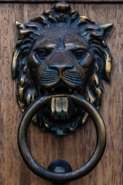 Ένα Κοντινό Πλάνο Την Πόρτα Του Λιονταριού Χτυπάει Μια Ξύλινη — Φωτογραφία Αρχείου