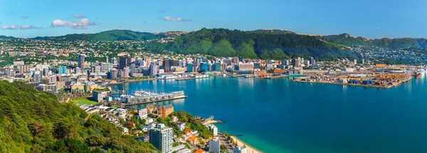 Wellington Neuseeland Februar 2020 Erhöhte Sicht Auf Städtische Gebäude Und — Stockfoto