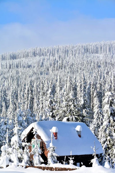 Vertical Shot Wooden House Winter Forest — Stock Photo, Image