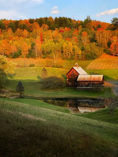 Een Prachtig Shot Van Houten Huizen Een Herfstbos — Stockfoto