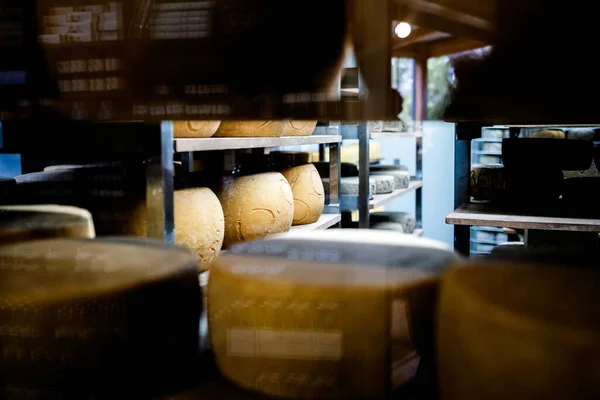 선반에 치즈의 선택적 — 스톡 사진