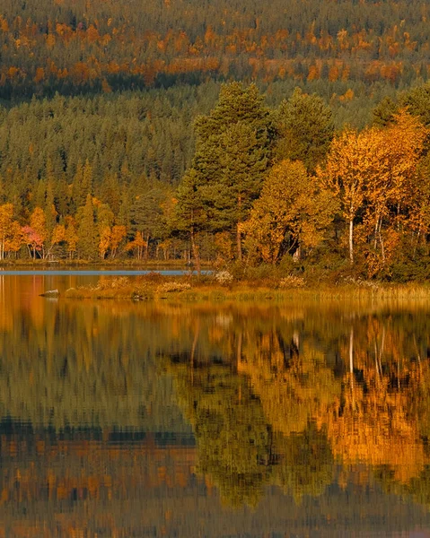 Reflectie Van Herfst Landschap Het Meer — Stockfoto