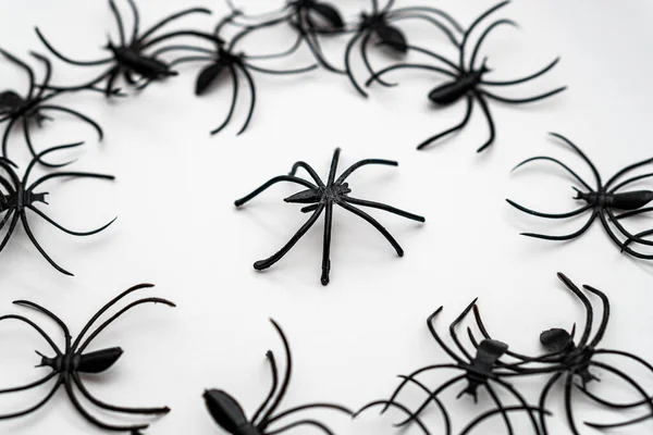 Ένας Σωρός Από Διακοσμητικά Παιχνίδια Αράχνης Για Halloween Απομονωμένα Λευκό — Φωτογραφία Αρχείου