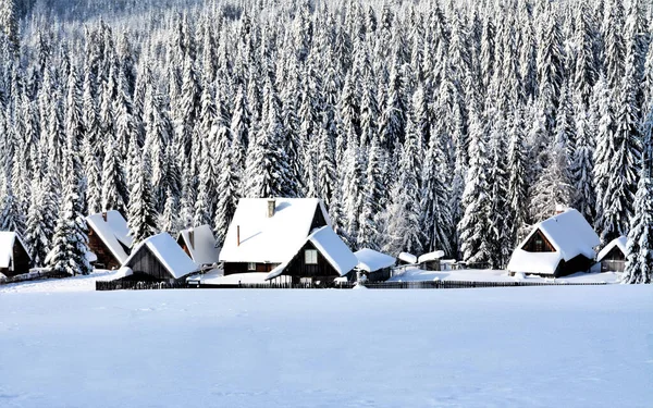 Знімок Дерев Яних Будинків Зимовому Лісі — стокове фото