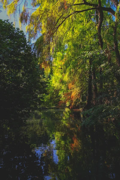 Eine Vertikale Lebendige Aufnahme Eines Schönen Flusses Und Bäumen — Stockfoto
