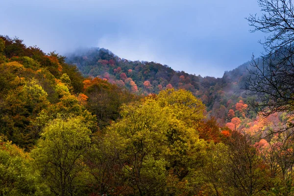 가을에 삼림이 산들의 아름다운 — 스톡 사진