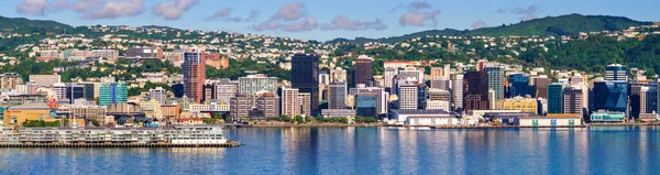 Wellington Neuseeland Februar 2020 Erhöhte Sicht Auf Städtische Gebäude Und — Stockfoto