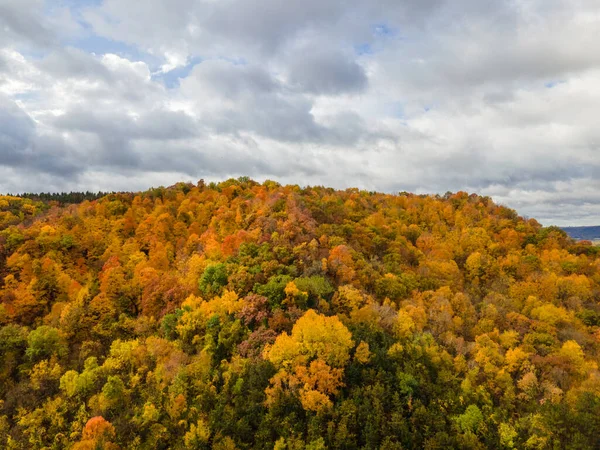 Пейзаж Холмов Окружении Осенних Деревьев Кросс Висконсин — стоковое фото