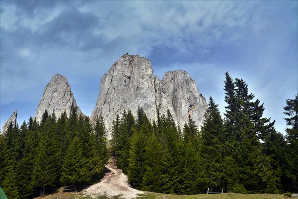 Detailní Záběr Lonely Rock Piatra Singuratica Vrchol Rumunsku — Stock fotografie