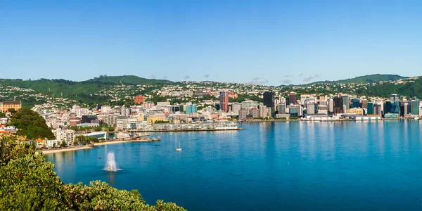 Wellington Nouvelle Zélande Février 2020 Vue Surélevée Des Bâtiments Ville — Photo