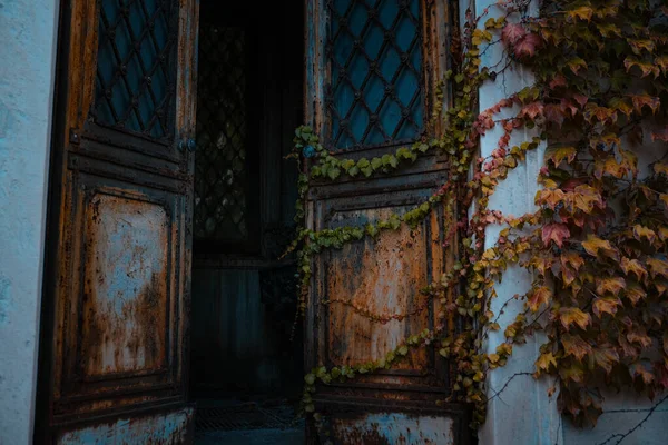 Stare Wietrzne Drzwi Wejściowe Pokryte Wzrostem — Zdjęcie stockowe