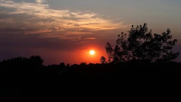 Una Vista Impresionante Árboles Siluetas Contra Dramático Cielo Del Atardecer —  Fotos de Stock