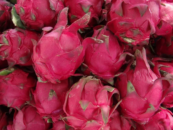 Primer Plano Del Gran Ramo Frutas Dragón Tropicales Rosadas — Foto de Stock