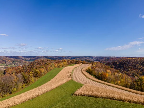 Letecký Záběr Polí Farmě Pod Slunečním Svitem Venkově — Stock fotografie