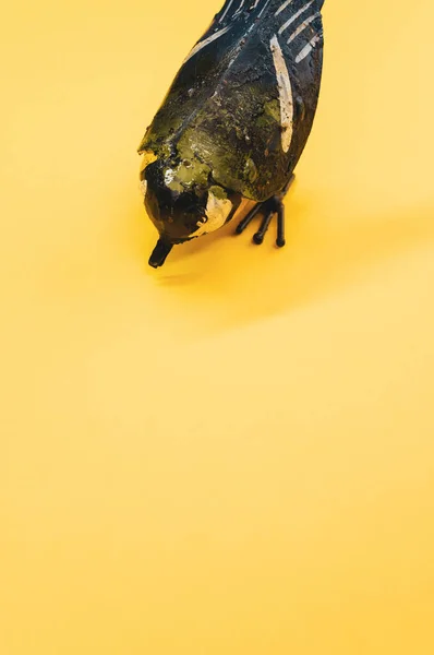 Disparo Vertical Pájaro Falso Sobre Una Superficie Naranja —  Fotos de Stock