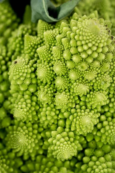 Eine Nahaufnahme Eines Schönen Romanesco Brokkoli — Stockfoto