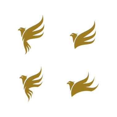 Kartal logo tasarım vektör seti. Sport Eagle logo şablonu