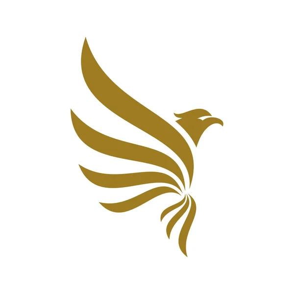 Kartal logo tasarım vektörü. Sport Eagle logo şablonu
