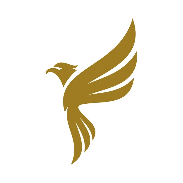 Kartal logo tasarım vektörü. Sport Eagle logo şablonu