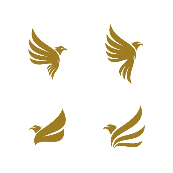 Conjunto de diseño del logo de Águila vector. Plantilla logo Sport Eagle — Vector de stock