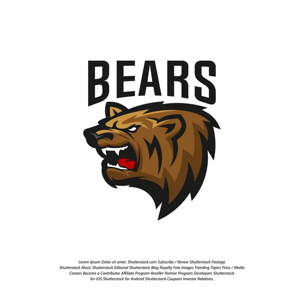 Urso Logo vetor de design. Logotipo de urso pardo profissional moderno para uma equipe de esporte — Vetor de Stock