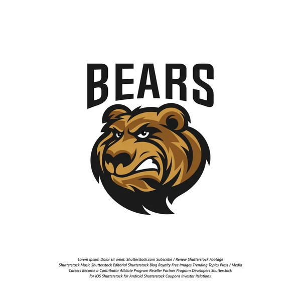 Urso Logo vetor de design. Logotipo de urso pardo profissional moderno para uma equipe de esporte — Vetor de Stock