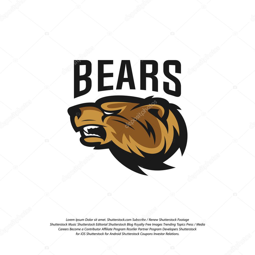 Bear Logo design vector. Modern professional grizzly bear logo for a sport team