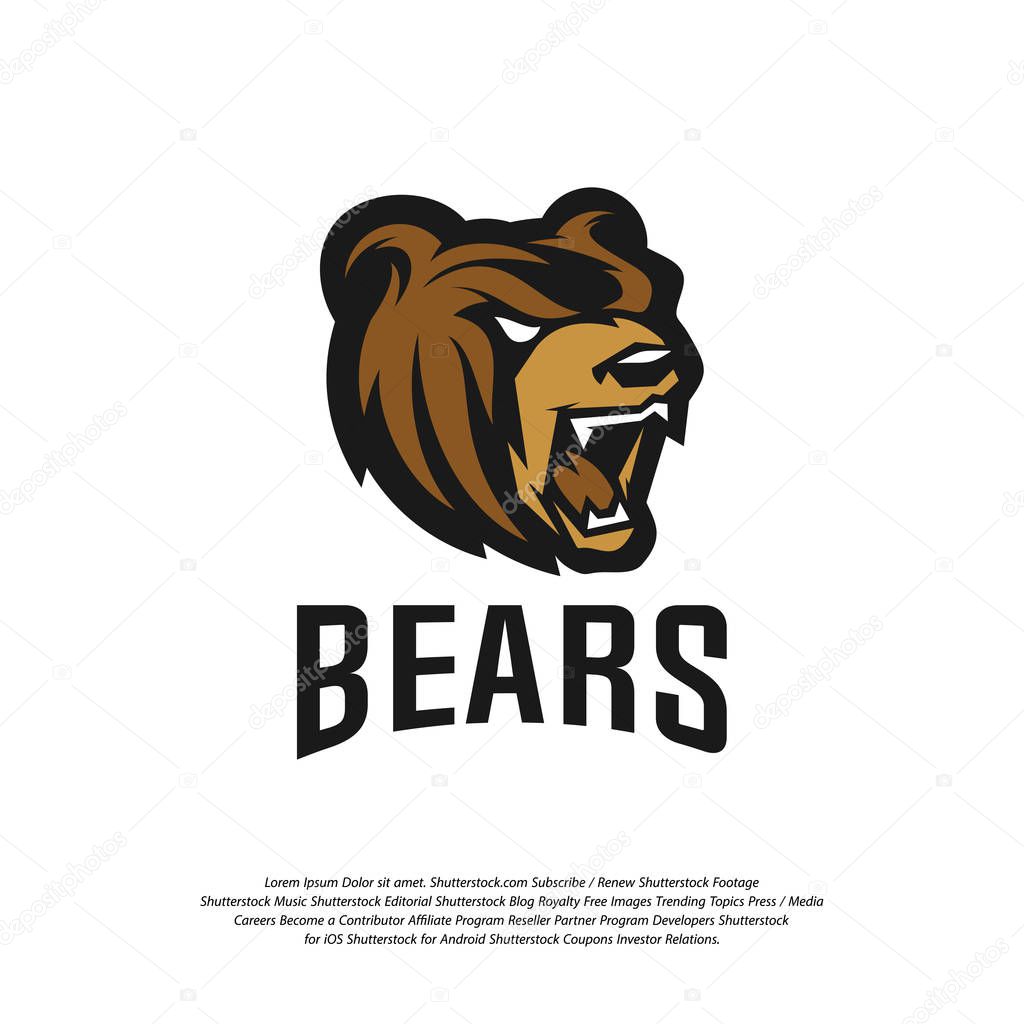 Bear Logo design vector. Modern professional grizzly bear logo for a sport team