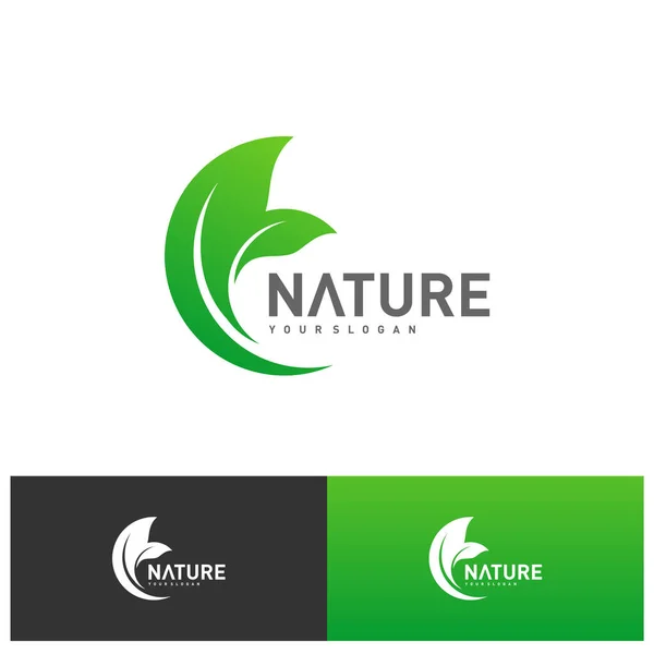 Modelo Vetor Projeto Logotipo Folha Conceito Projeto Logotipo Natureza Ilustração — Vetor de Stock