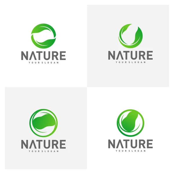 Set Von Blatt Logo Design Vektor Vorlage Natur Logo Design — Stockvektor