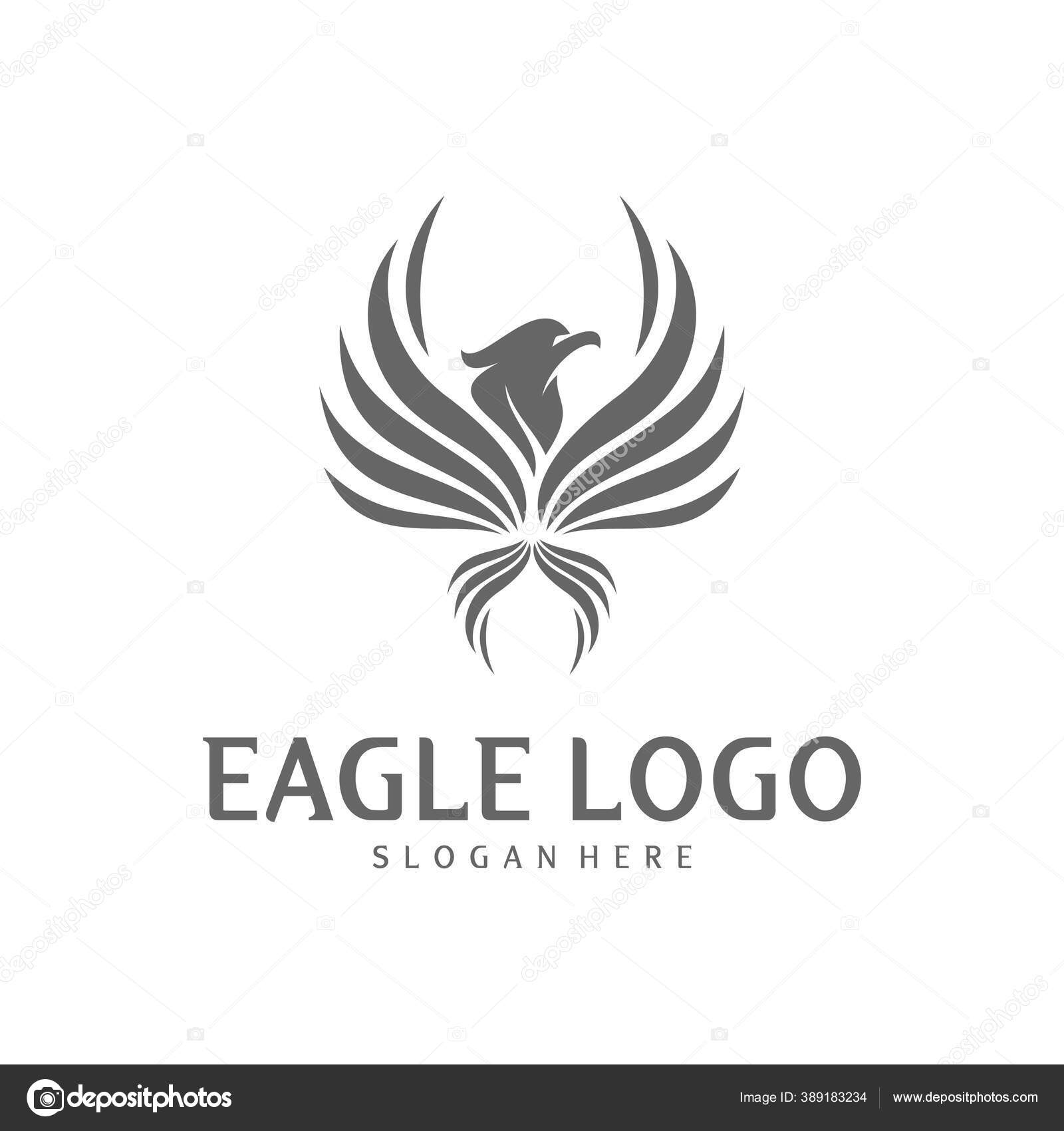 Bird Line Art, Eagle, Silhouette, grapher, Logo, Portrait, Wedding, Black  And White transparent background PNG clipart | HiClipart, image size:1600x1700