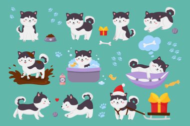 Şirin Sibirya köpek sürüsü. Kawaii çizgi film karakteri köpek yavrusu çamurlu su birikintisinde zıplar, yıkar, top oynar, yastıkta uyur. Kızaklı ve hediyeli bir Noel köpeği. Çocuklar için illüstrasyon.