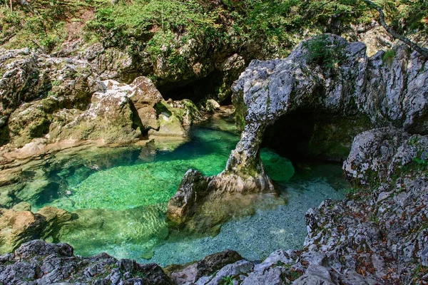 Famous rock feature called Elephant (sloncek) in Mostnica Gorge (Korita Mostnice), Bohinj, Triglav National Park, Slovenia.