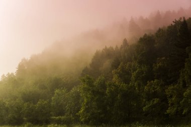 puslu sabah Nehri üzerinde