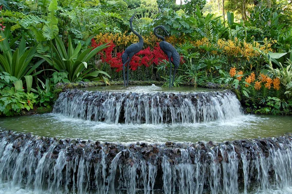 Singapore Rp4 National Orchid Garden Water Fountain April 2012 Singapore — 图库照片