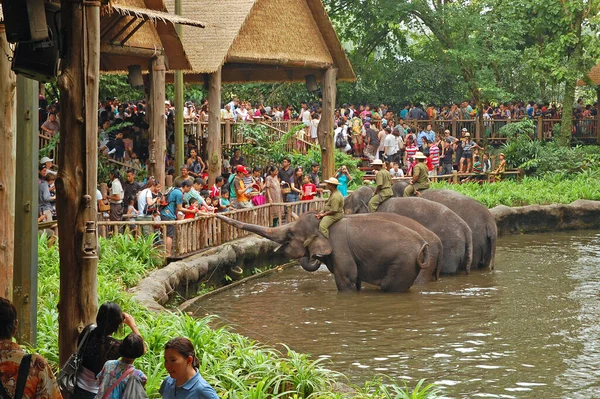 MANDAI, SG - APR 6 - Singapur Hayvanat Bahçesi fil şovu 6 Nisan 2012 tarihinde Singapur, Mandai 'de izleyicilerle.
