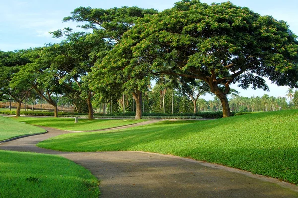 Batangas Haziran 2010 Tarihinde Malarayat Dağı Nda Golf Sahası Yolu — Stok fotoğraf