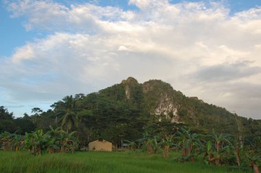 PALAWAN, PH - NOV 29 - 29 Kasım 2009 'da Ugong' da Palawan, Filipinler 'de dağ ve ağaçların manzarası.