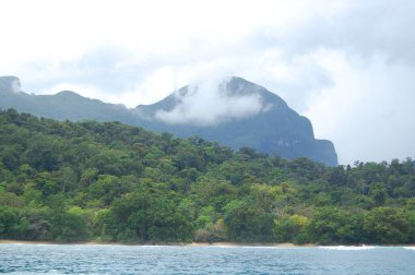 Porto Princesa, Palawan, Filipinler 'de ağaçlar ve deniz manzaralı bir dağ oluşumu.
