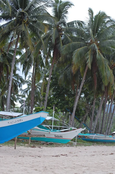 Palawan Nov Καρύδες Και Βάρκες Στην Παραλία Sabang Στις Νοεμβρίου — Φωτογραφία Αρχείου