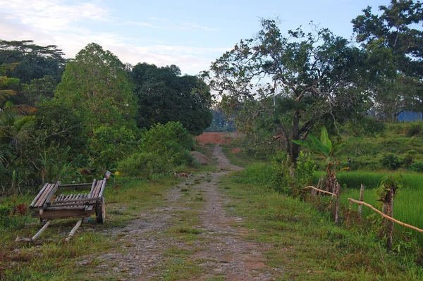 Palawan Nov 2009 필리핀 라완의 푸에르토프린세사에서 우공으로 — 스톡 사진